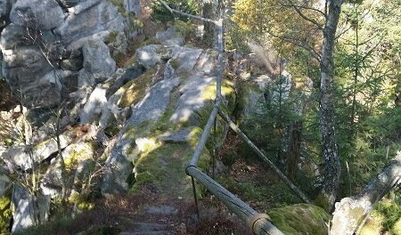 Erziehungstip im November