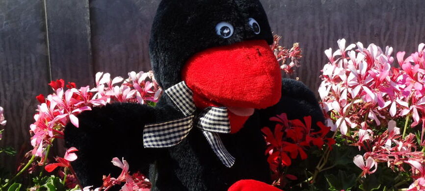 Praxiseröffnung in Roßbach