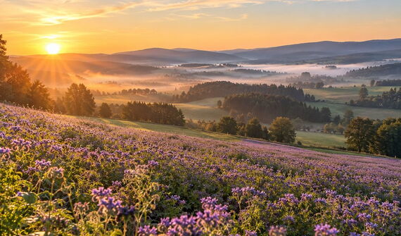 Blick auf eine Landschaft im Sonnenuntergang