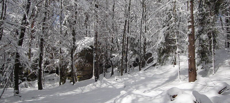 Erziehungstipp Dezenber