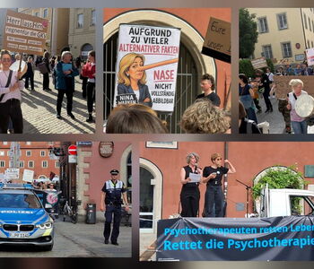 Collage einer Demo in Regensburg
