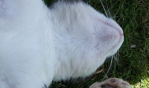 Auch so platt in letzter Zeit?