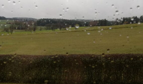 Bäh - wundervoll oder grauenvoll?