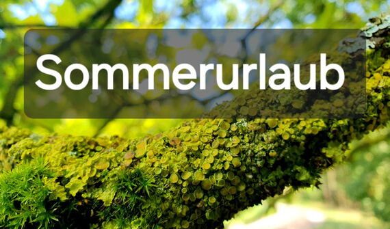 Sommerurlaub