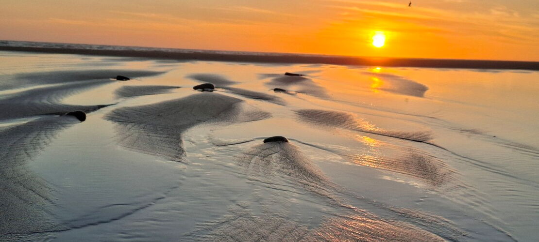 SurfTherapie